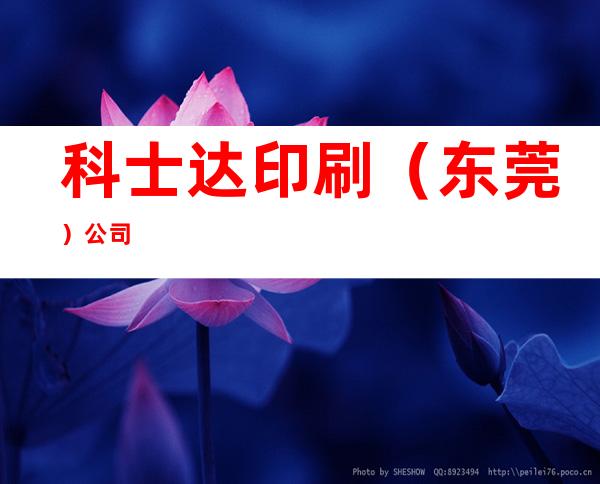 科士达印刷（东莞）公司