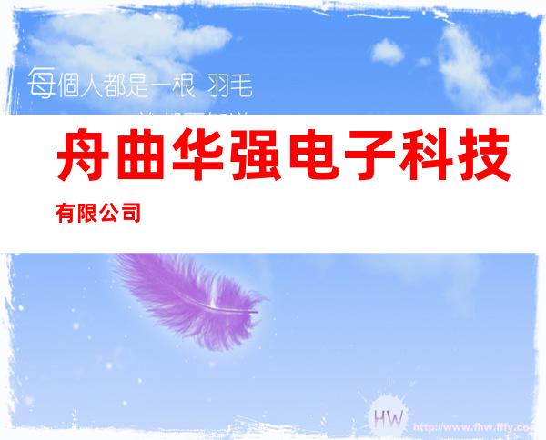 舟曲华强电子科技有限公司