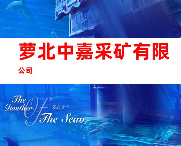 萝北中嘉采矿有限公司