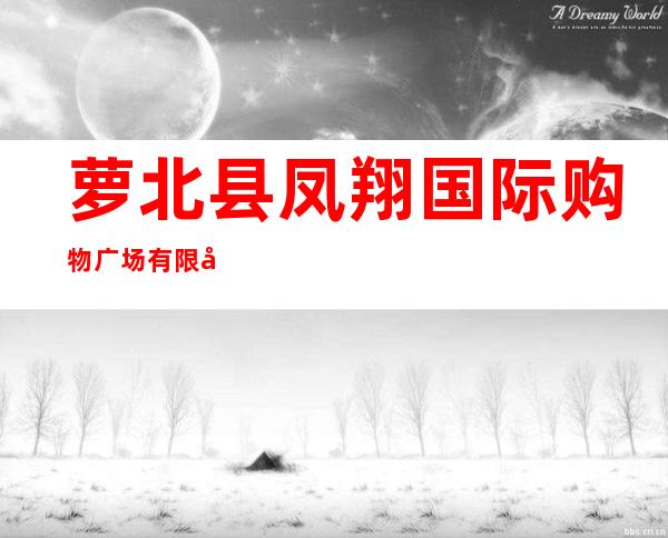 萝北县凤翔国际购物广场有限公司