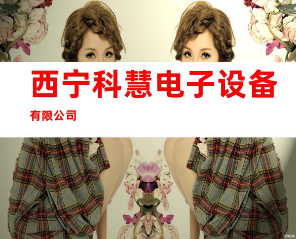 西宁科慧电子设备有限公司