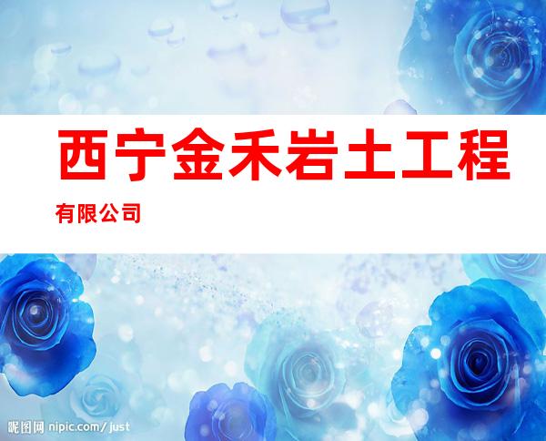 西宁金禾岩土工程有限公司