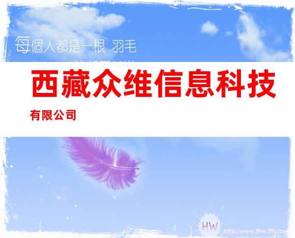 西藏众维信息科技有限公司