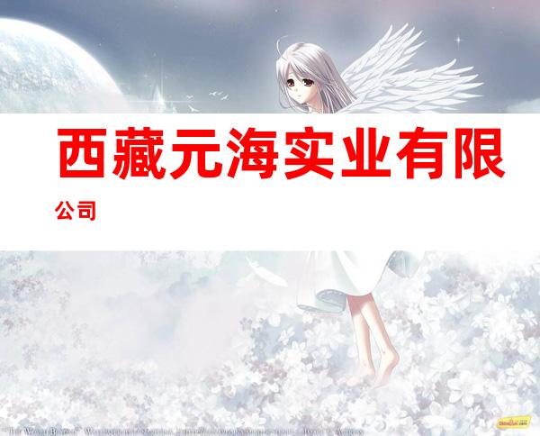 西藏元海实业有限公司