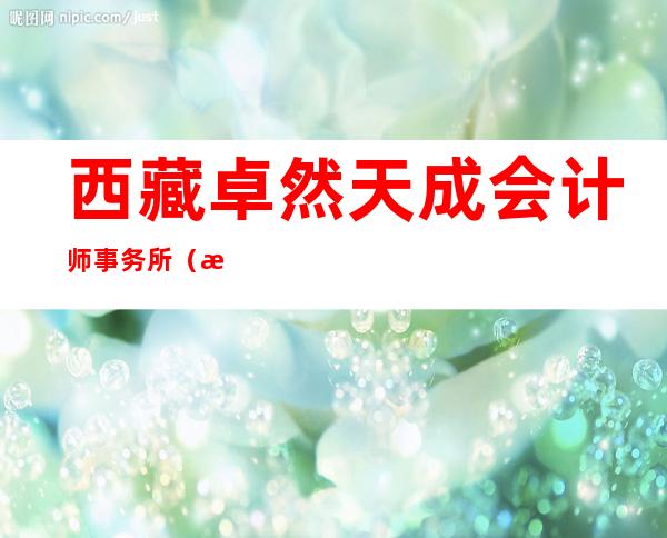 西藏卓然天成会计师事务所（普通合伙）