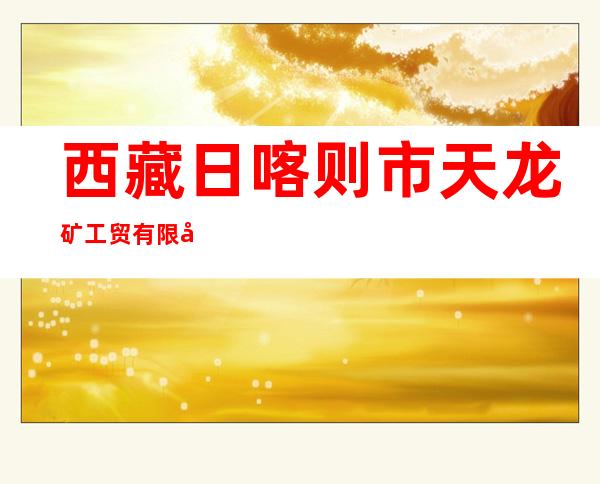 西藏日喀则市天龙矿工贸有限公司