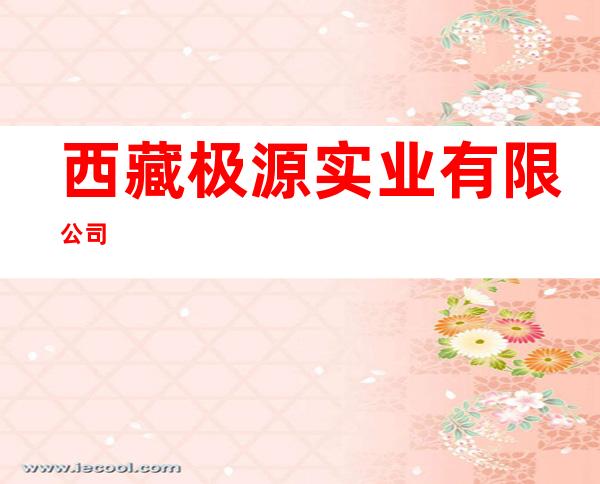 西藏极源实业有限公司