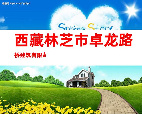 西藏林芝市卓龙路桥建筑有限公司