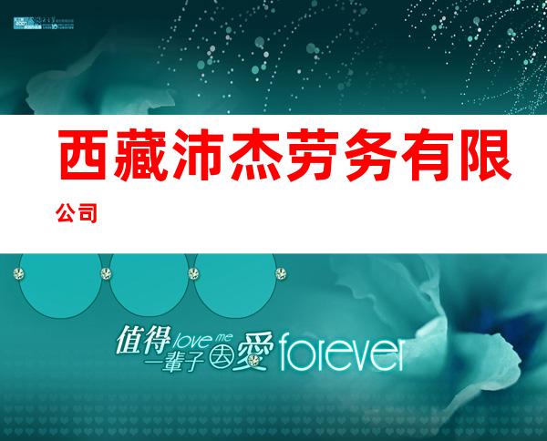 西藏沛杰劳务有限公司