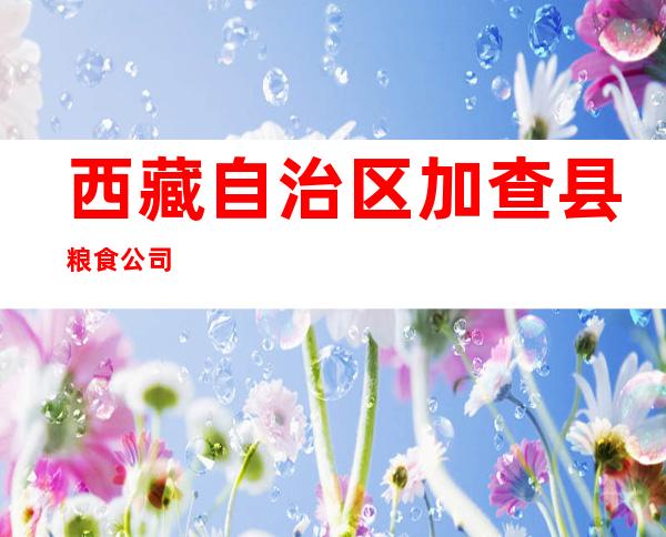 西藏自治区加查县粮食公司