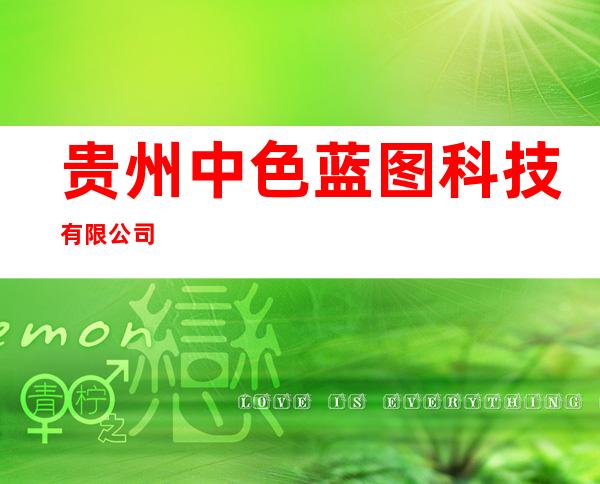 贵州中色蓝图科技有限公司