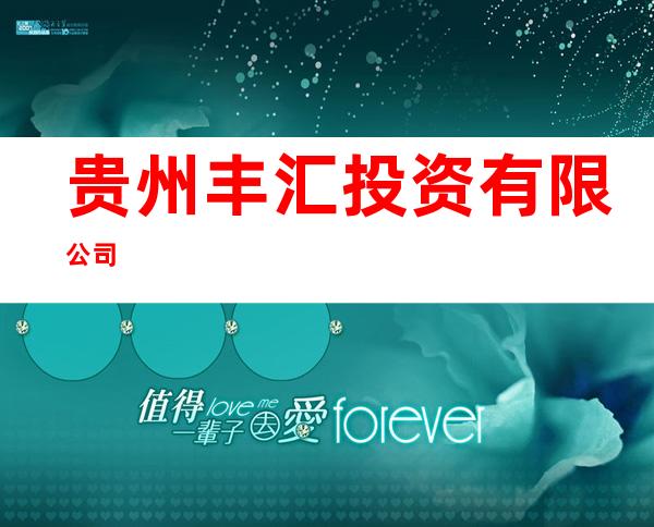 贵州丰汇投资有限公司