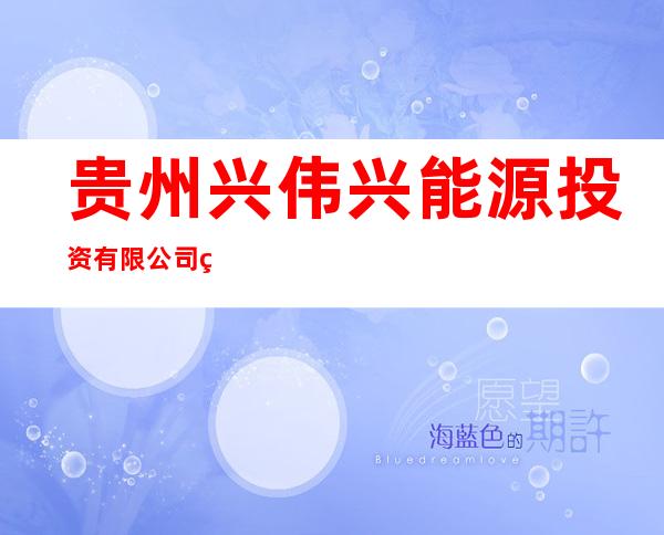 贵州兴伟兴能源投资有限公司织金县八步镇鑫安煤矿