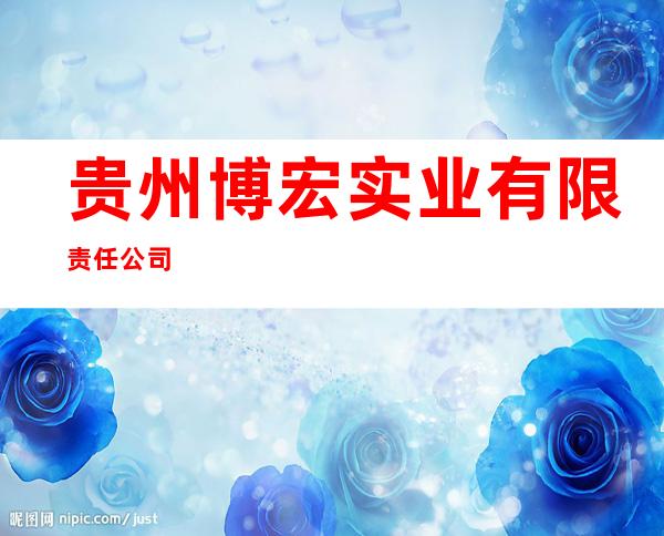 贵州博宏实业有限责任公司