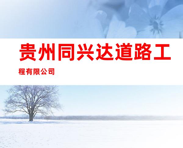 贵州同兴达道路工程有限公司