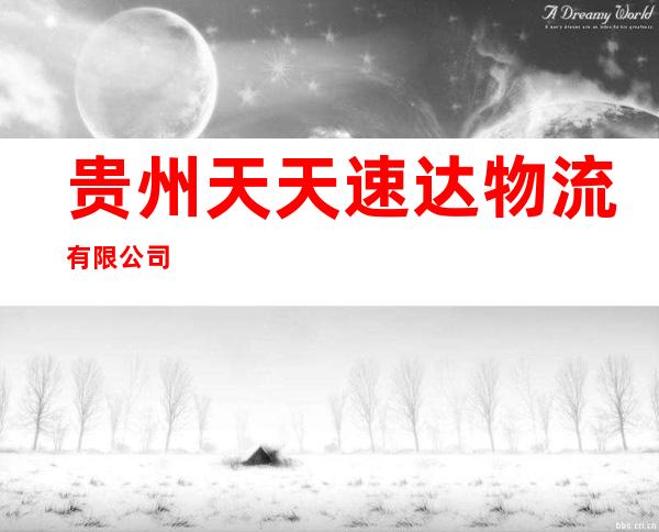 贵州天天速达物流有限公司