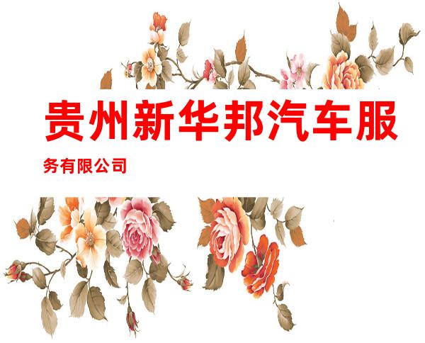 贵州新华邦汽车服务有限公司