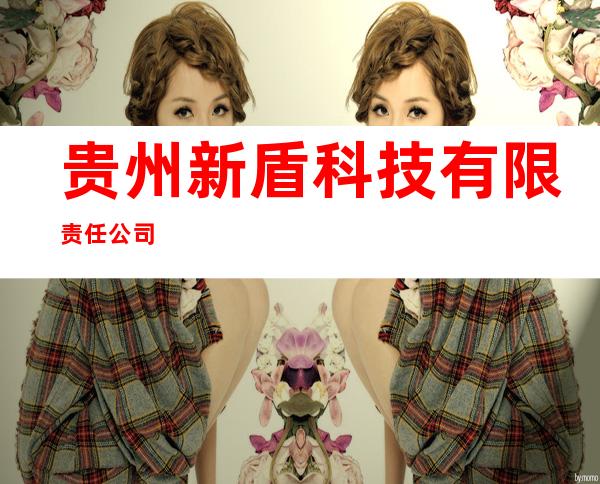 贵州新盾科技有限责任公司