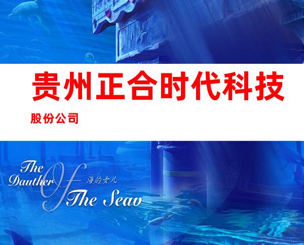 贵州正合时代科技股份公司