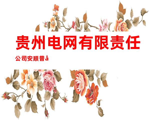 贵州电网有限责任公司安顺普定供电局
