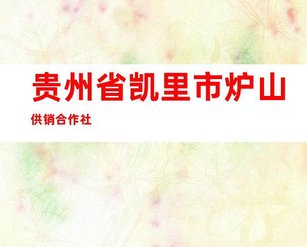 贵州省凯里市炉山供销合作社