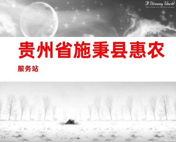 贵州省施秉县惠农服务站