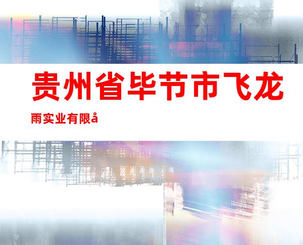 贵州省毕节市飞龙雨实业有限公司