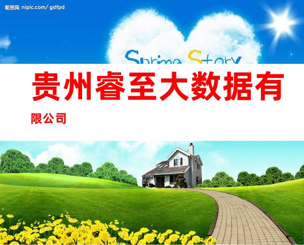 贵州睿至大数据有限公司