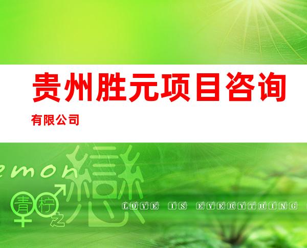 贵州胜元项目咨询有限公司
