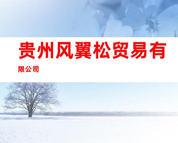 贵州风翼松贸易有限公司