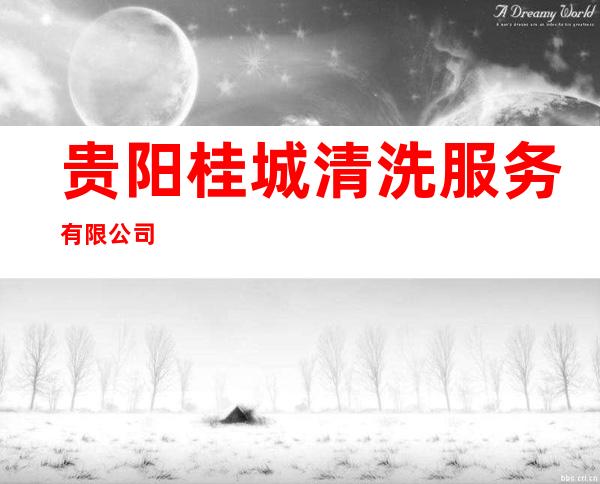 贵阳桂城清洗服务有限公司