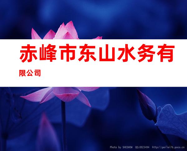 赤峰市东山水务有限公司