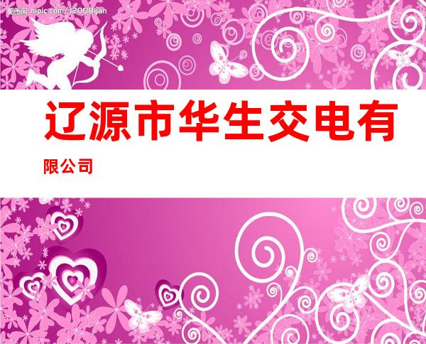 辽源市华生交电有限公司
