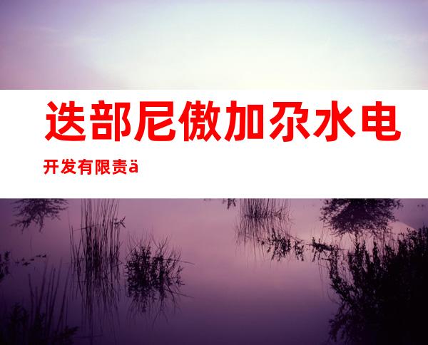 迭部尼傲加尕水电开发有限责任公司