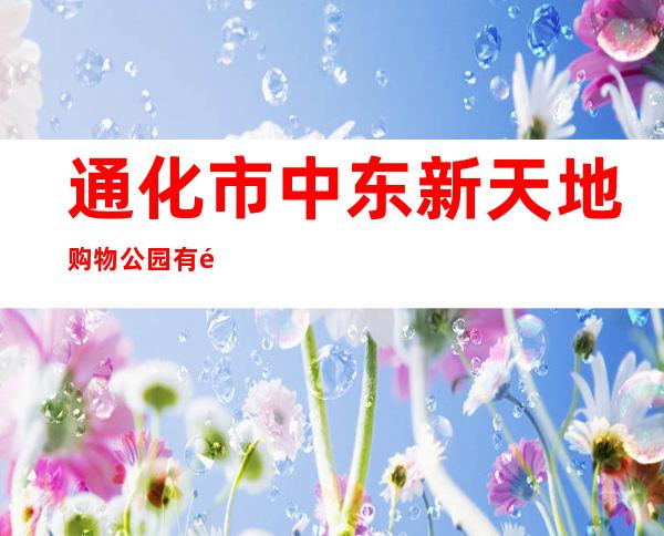 通化市中东新天地购物公园有限公司