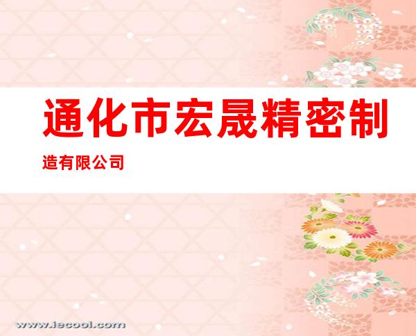通化市宏晟精密制造有限公司