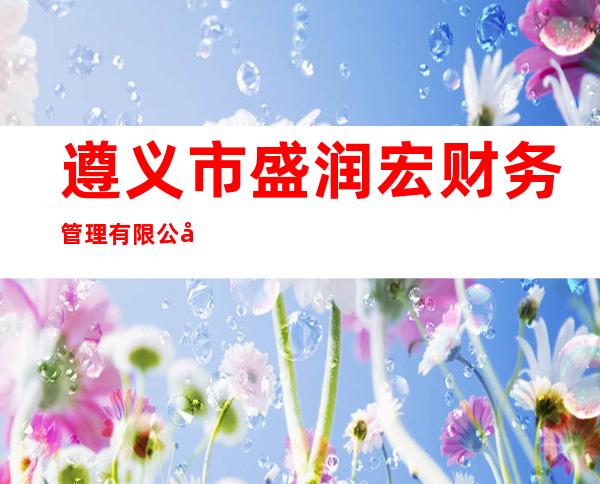 遵义市盛润宏财务管理有限公司
