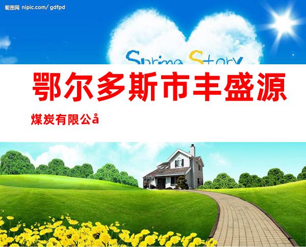 鄂尔多斯市丰盛源煤炭有限公司