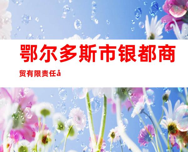 鄂尔多斯市银都商贸有限责任公司