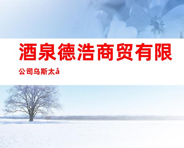 酒泉德浩商贸有限公司乌斯太分公司
