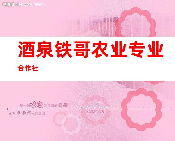 酒泉铁哥农业专业合作社