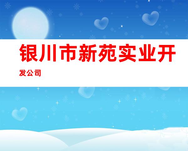 银川市新苑实业开发公司