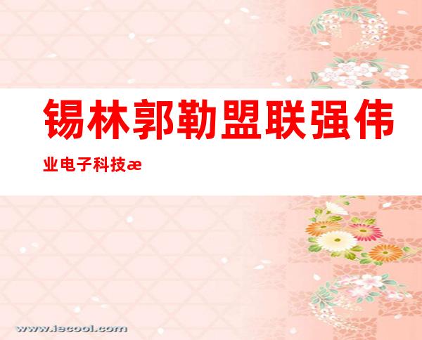 锡林郭勒盟联强伟业电子科技有限公司
