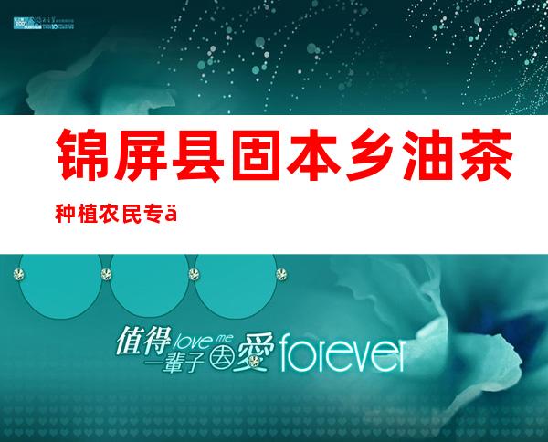 锦屏县固本乡油茶种植农民专业合作社