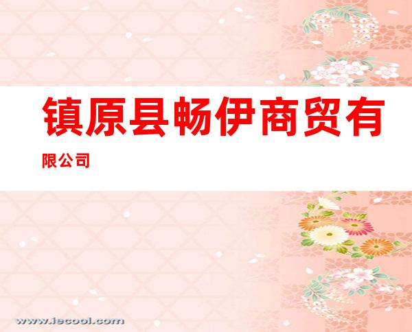 镇原县畅伊商贸有限公司