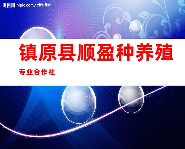 镇原县顺盈种养殖专业合作社
