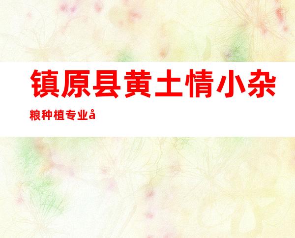 镇原县黄土情小杂粮种植专业合作社