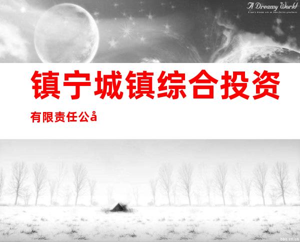 镇宁城镇综合投资有限责任公司