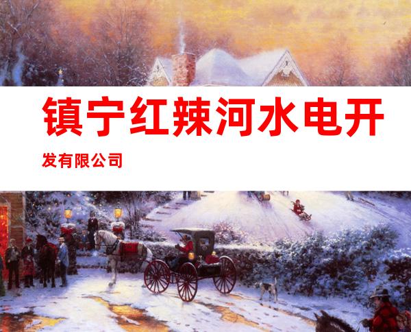 镇宁红辣河水电开发有限公司