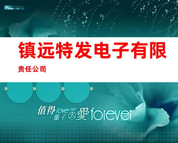 镇远特发电子有限责任公司